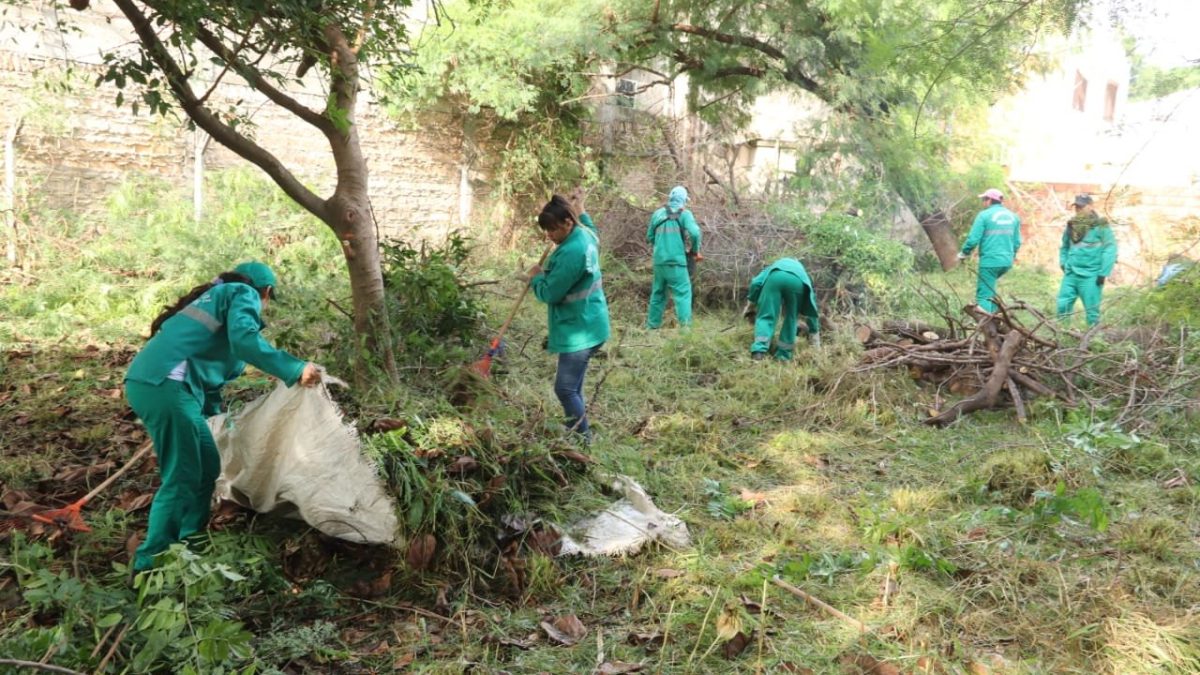 Senepa reporta que el 95% de las casas contienen criaderos