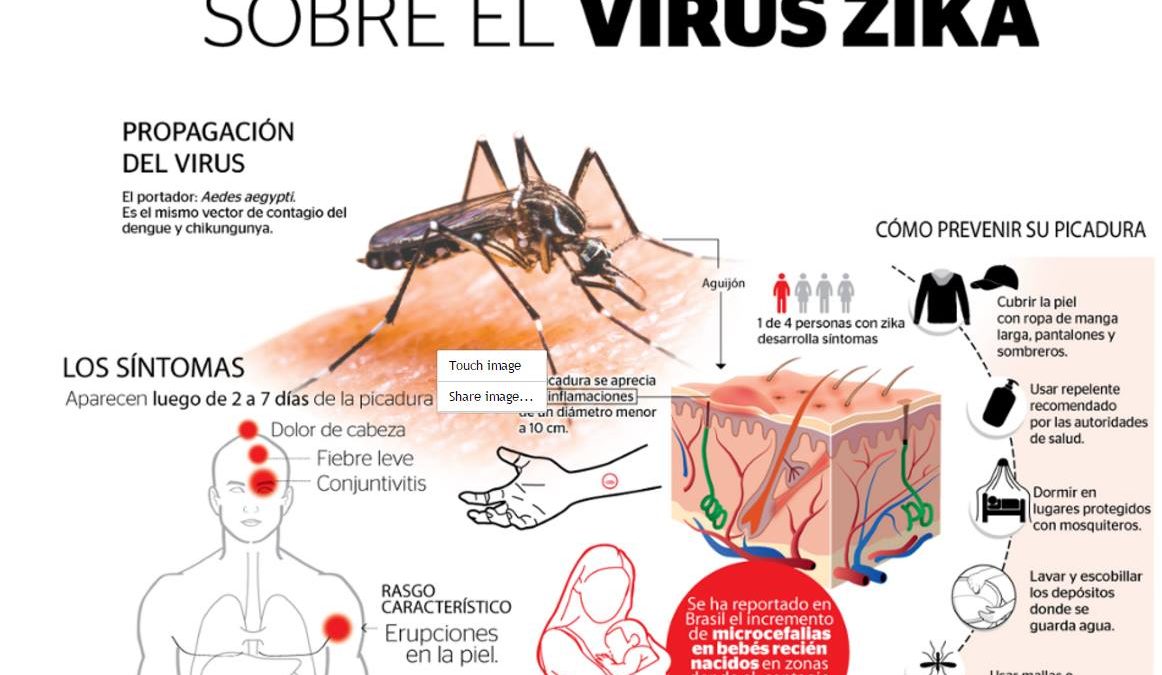 NACIONALES: El día que entre el Zika, atajate Catalina»: La preocupante advertencia de un neumólogo
